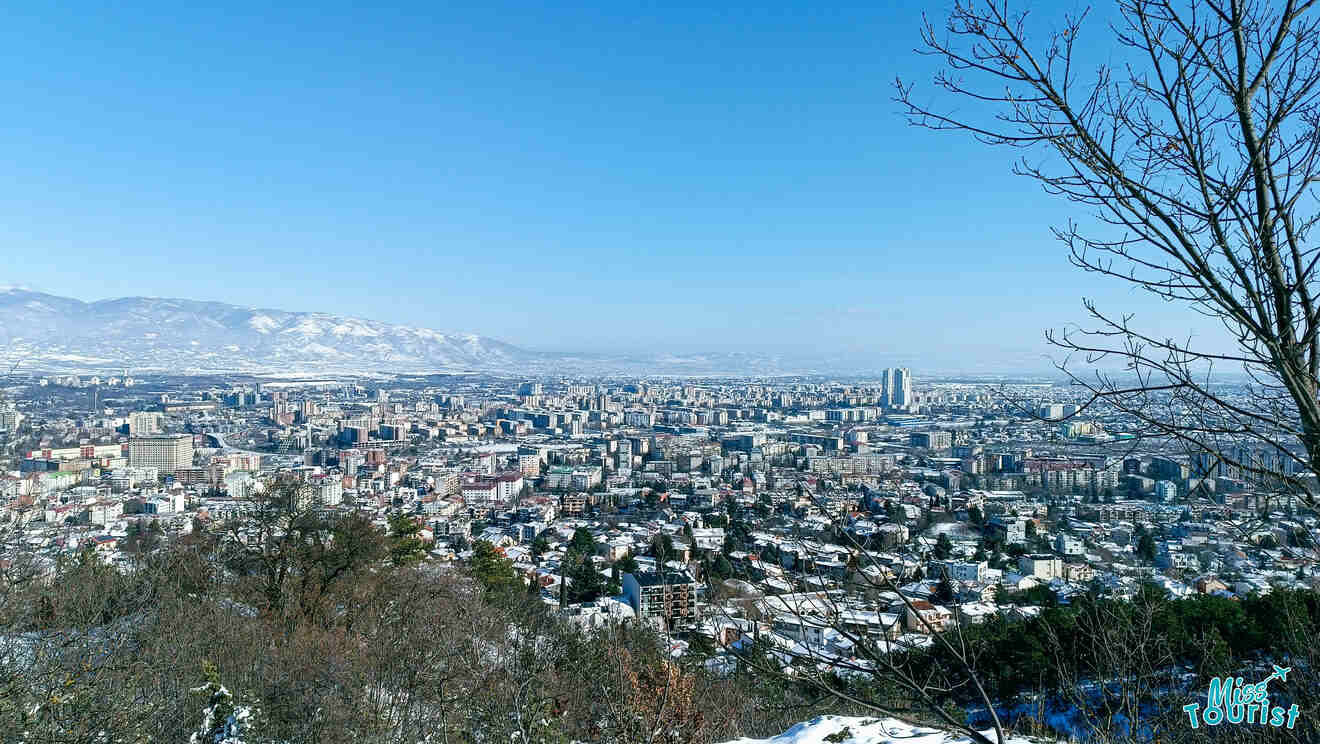 A clear daytime view of a cityscape with numerous buildings and a few high-rises. Snow-covered trees are in the foreground, with mountains visible in the background under a bright blue sky.