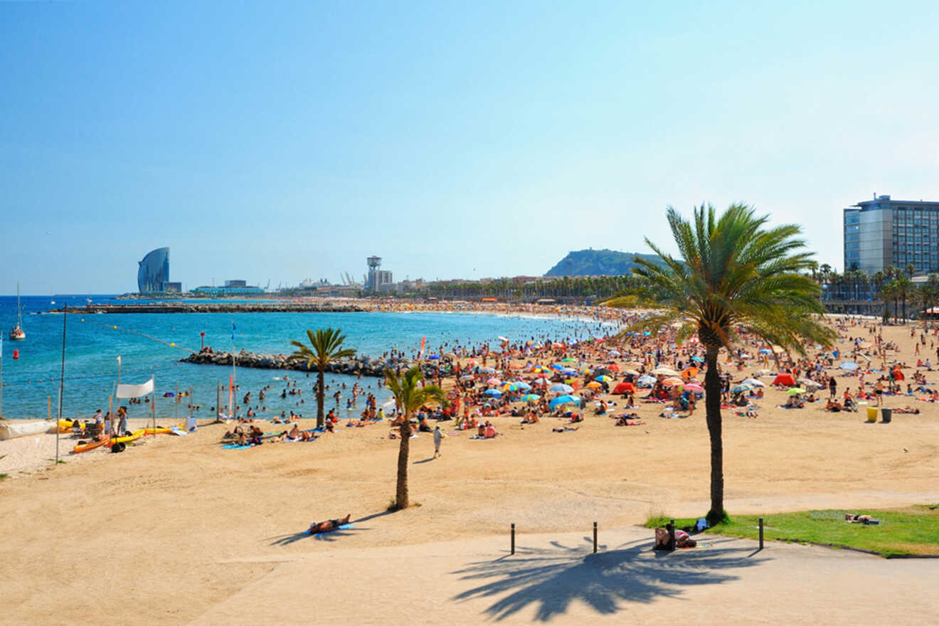 A crowded beach with many people sunbathing and swimming, surrounded by palm trees and city buildings in the background.