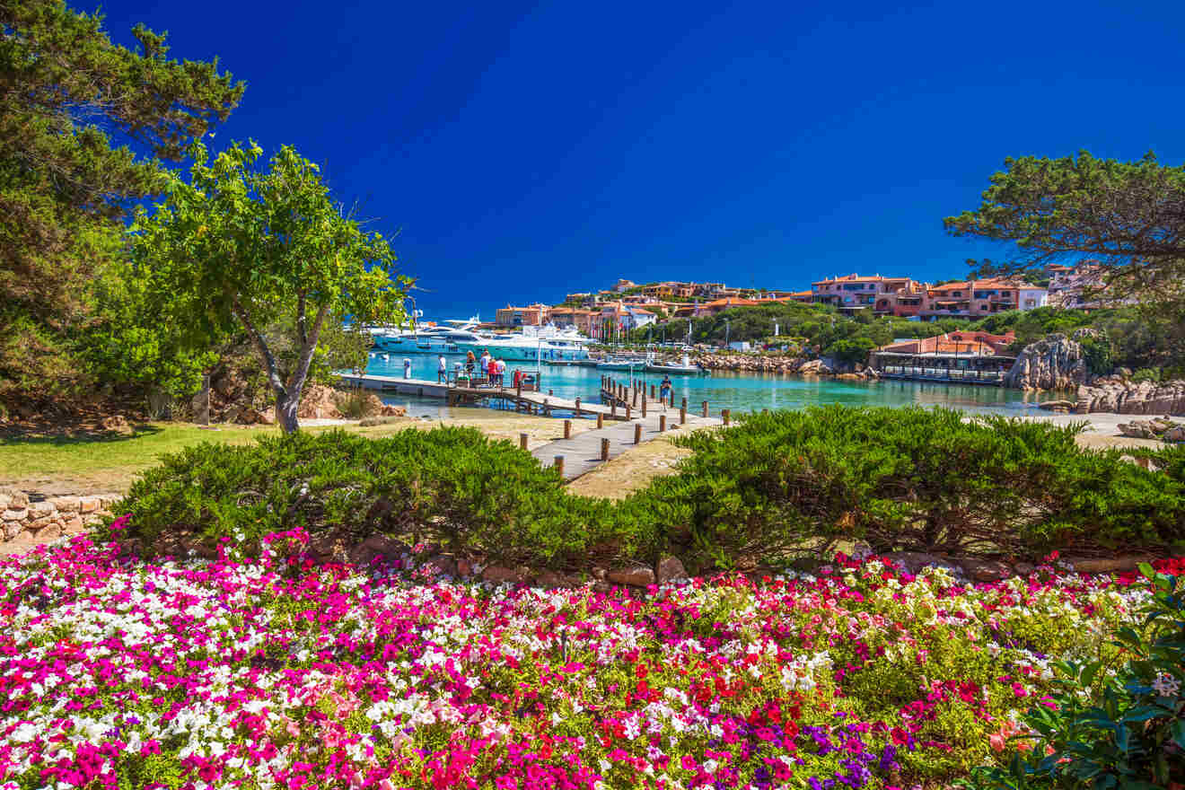 A coastal town with boats docked in calm waters is seen beyond a vibrant garden full of blooming flowers under a clear blue sky.