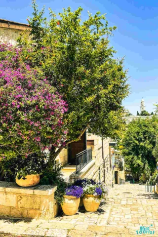 A cobblestone street lined with large potted plants, featuring blooming flowers and lush trees, with stone buildings in the background under a clear blue sky.